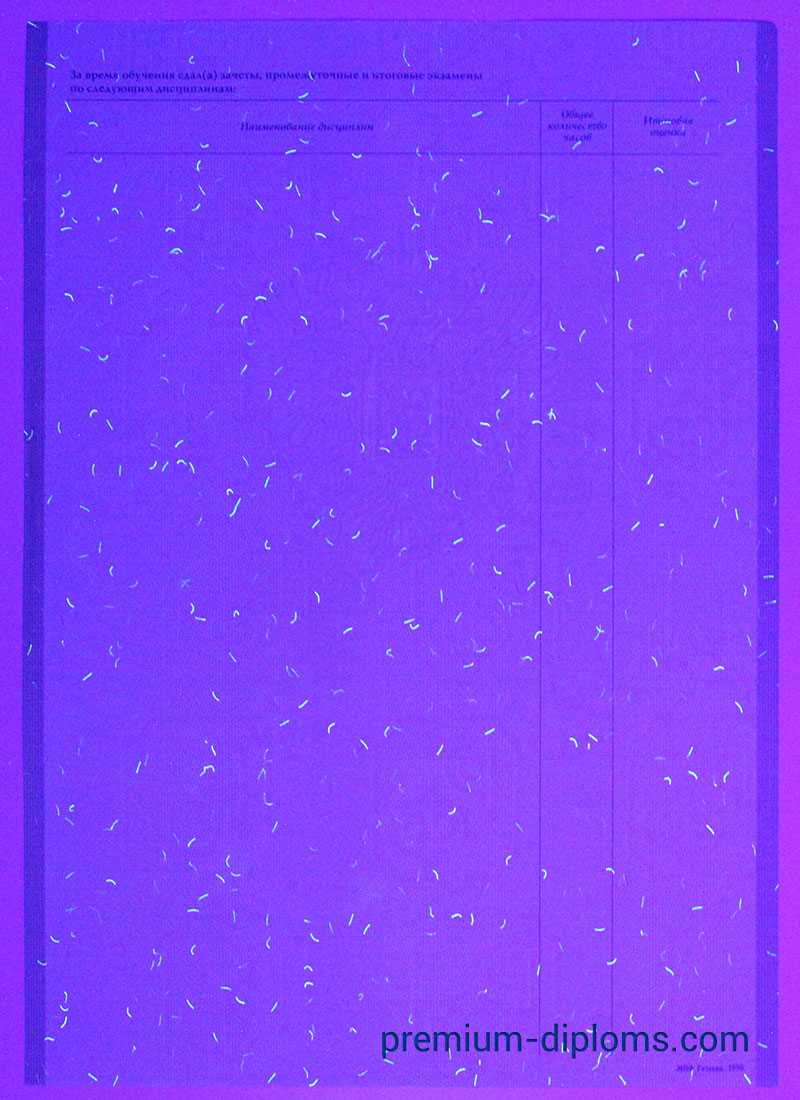 Академическая справка фото Академическая справка фото