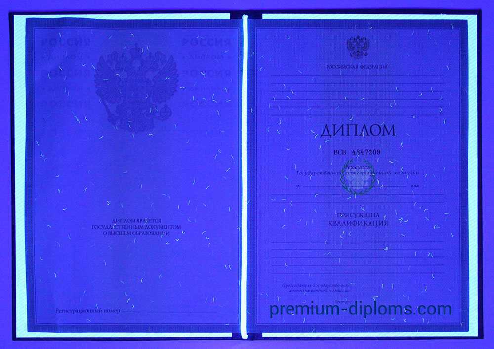 Диплом бакалавра 2004-2009 год фото Диплом бакалавра 2004-2009 год фото