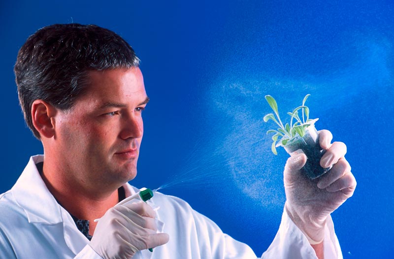 изготовим диплом биолога